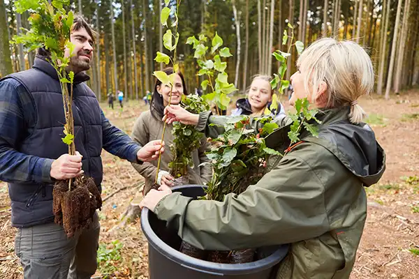Scène de plantation de jeunes arbres avec une femme d'âge mûr et un homme